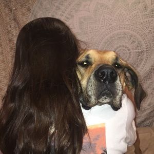 Meet your Posher, Abby